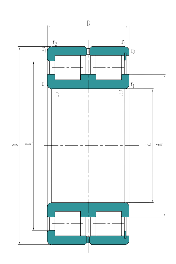  Double row full complement cylindrical roller bearings