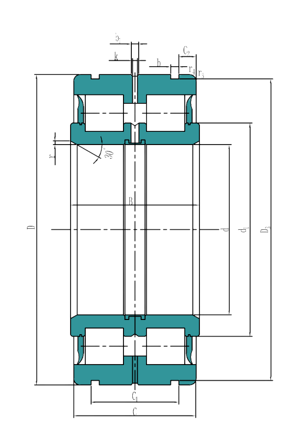 Sealed double row full complement cylindrical roller bearings