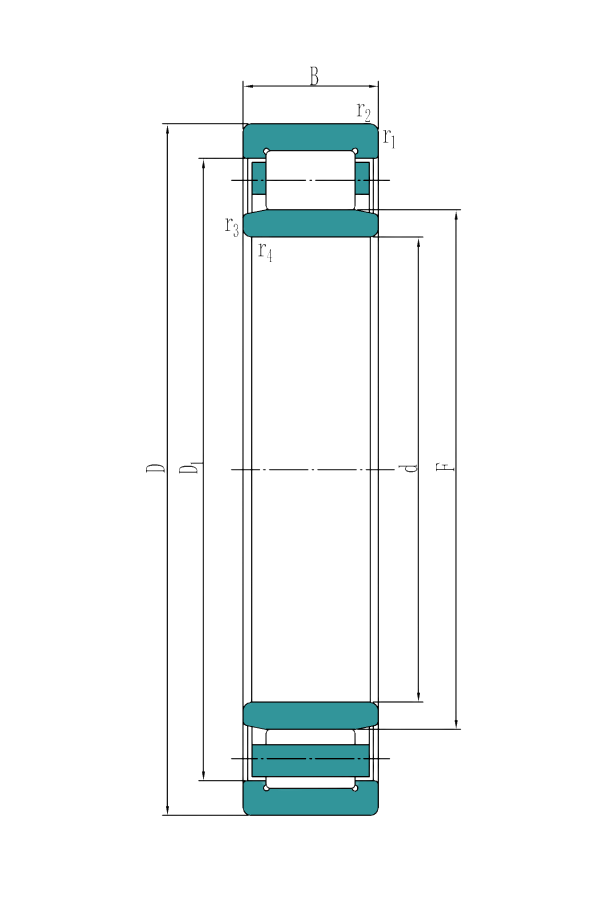 Single row cylindrical roller bearings