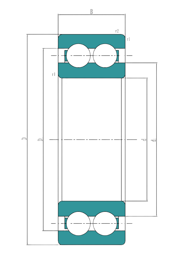 Double Row Deep Groove Ball Bearing